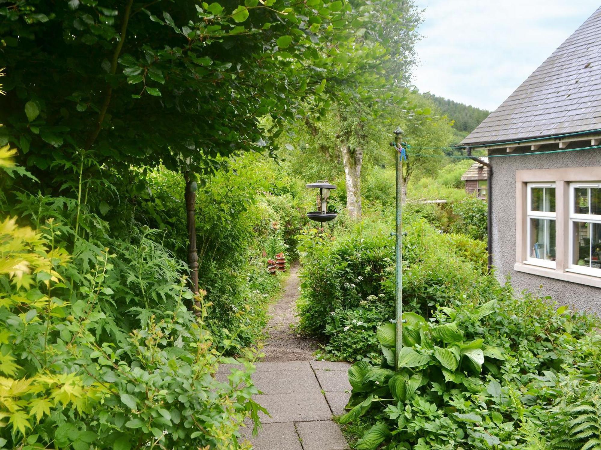 The Cottage Blackwood  Zewnętrze zdjęcie